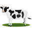 Cow icon